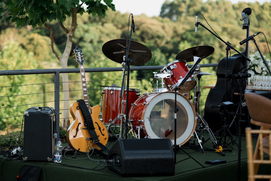 Concerto di musica dal vivo